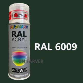 Dupli Color RAL 6009