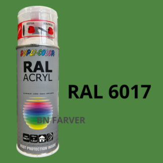 Dupli Color RAL 6017