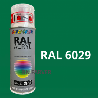 Dupli Color RAL 6029